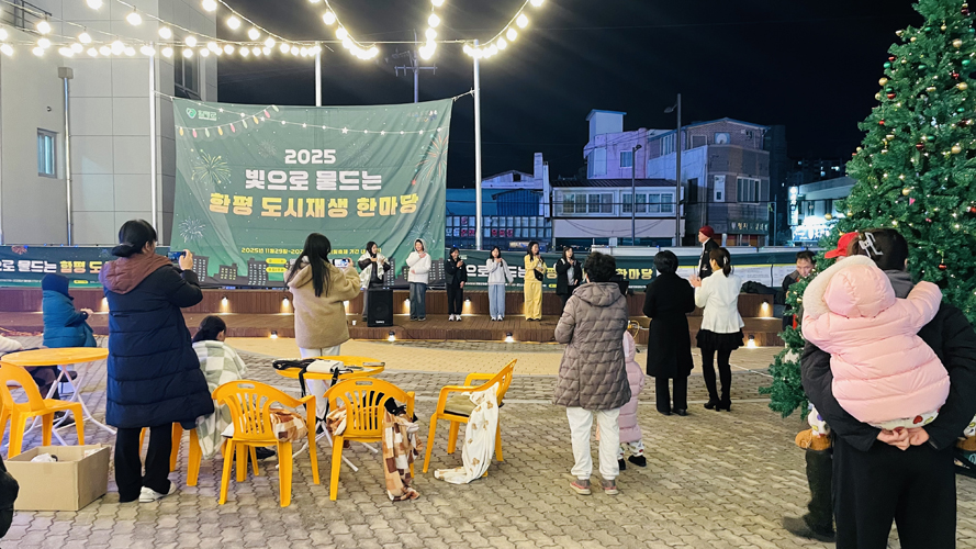 함평군, 빛으로 물드는 함평 도시재생 거리축제 한마당 개최
