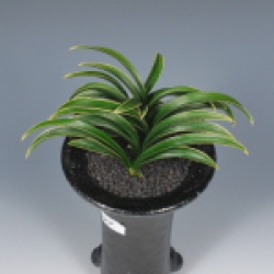 함평천지상(함평군의회장상) -단엽복륜- 신라- 이동섭