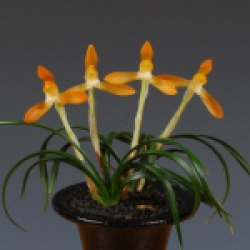 대상(대통령상) - 주금소심-동광 -신상근