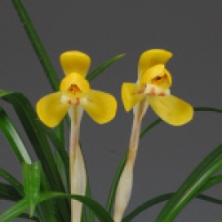 우수상(전라남도 도지사상)- 황화 정득재