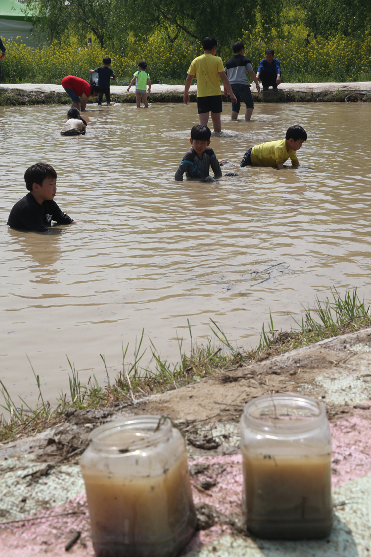 함평나비축제24