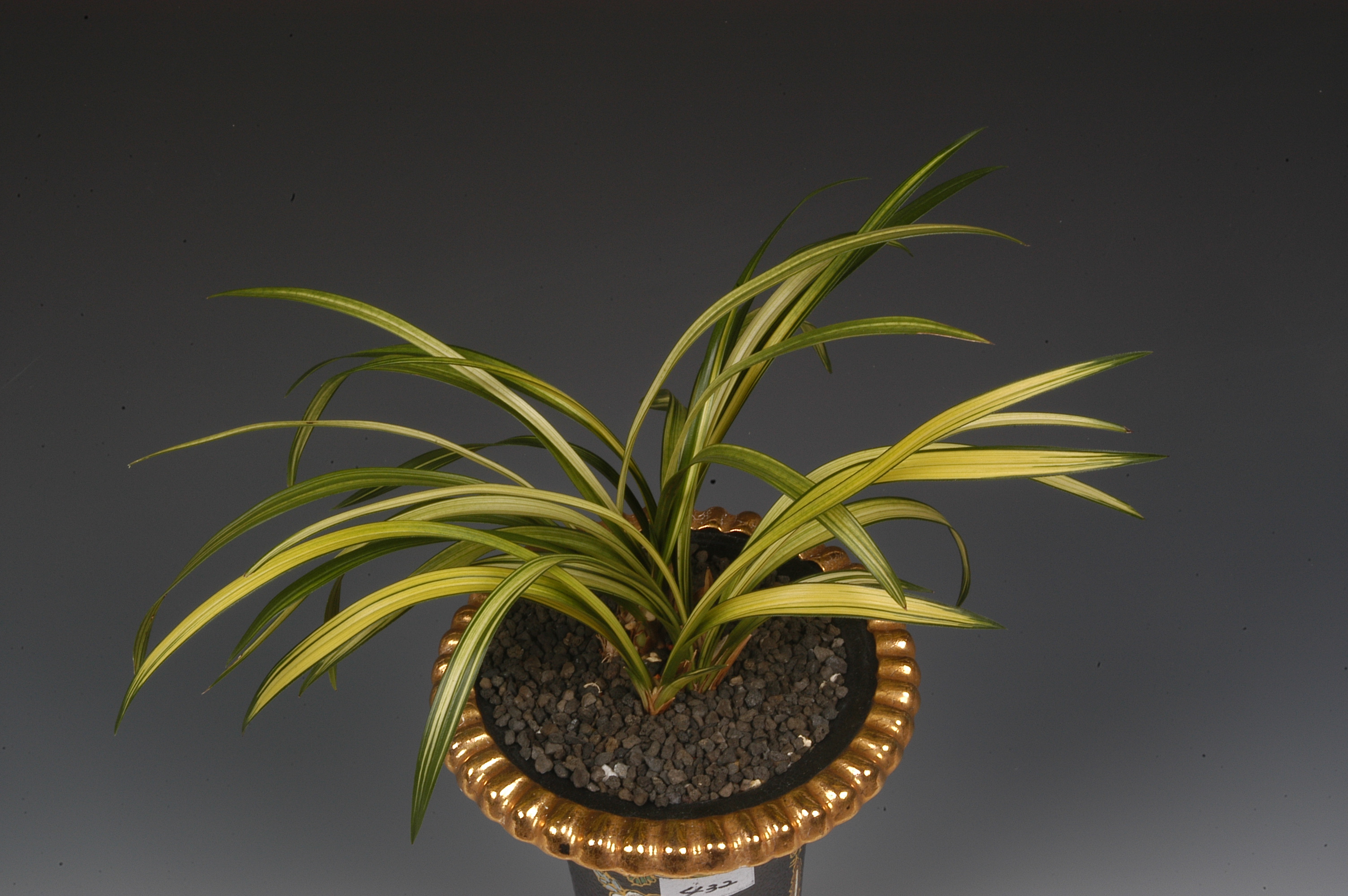 특별상-산반중투-김난옥