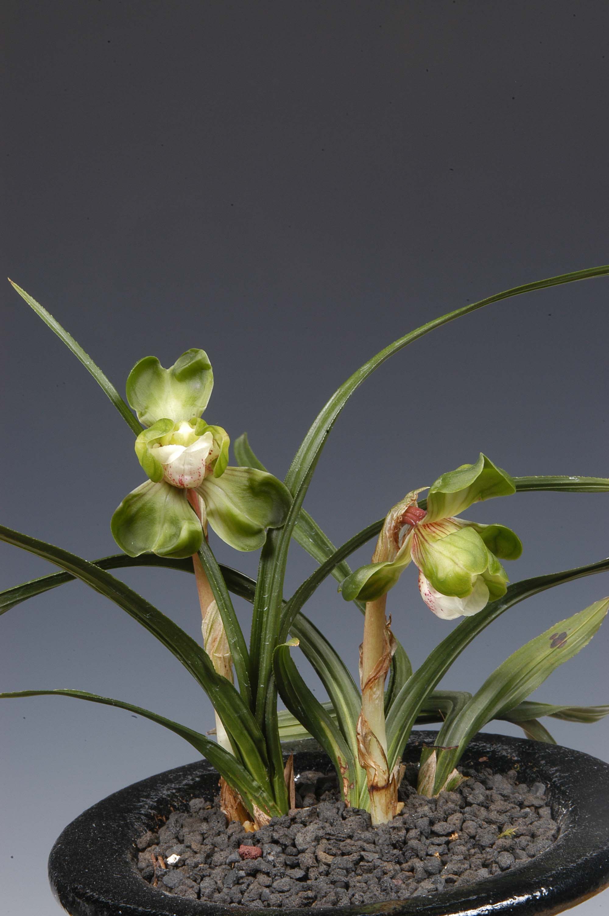 특별상-기화-김판연