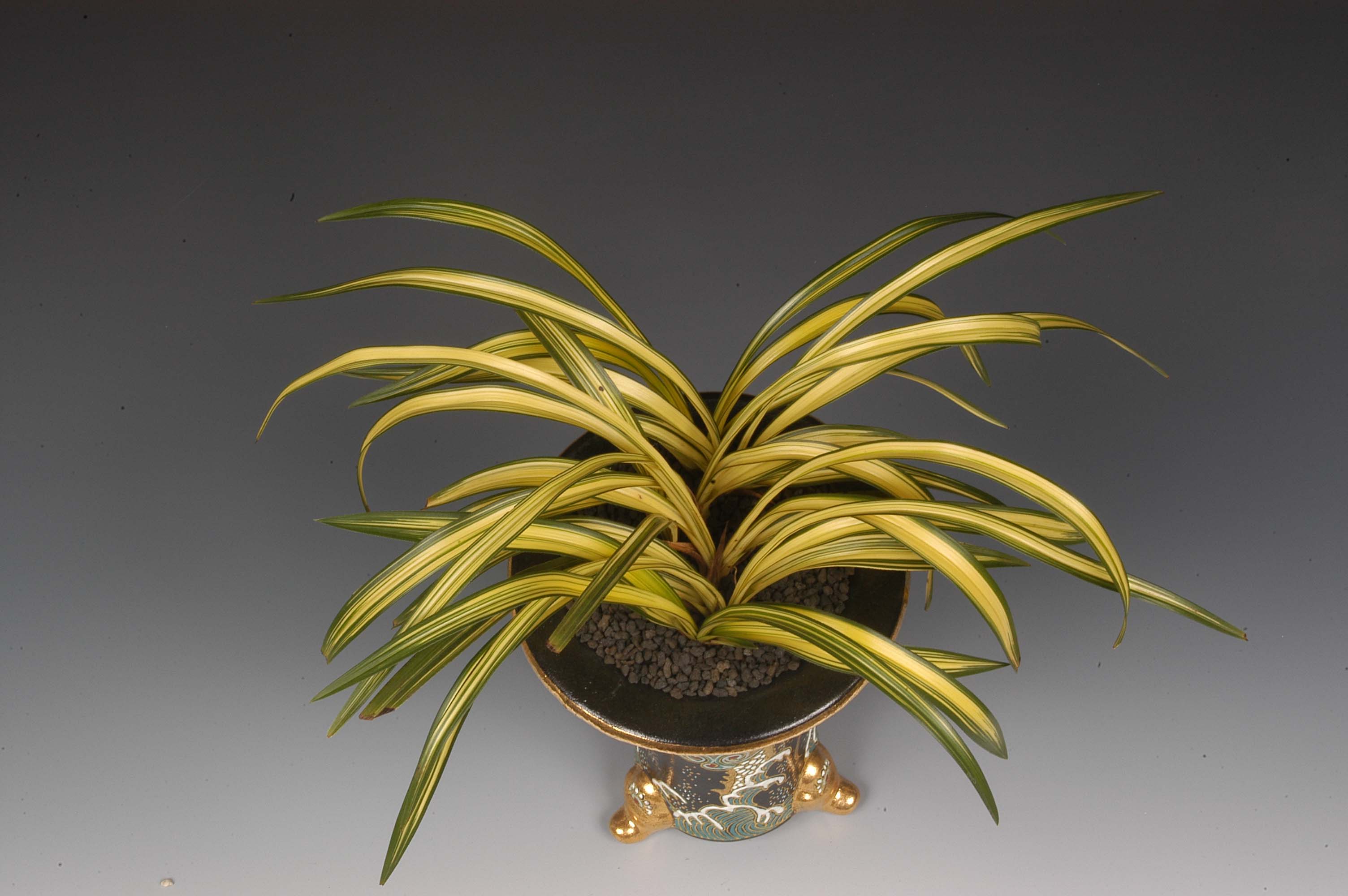 우수상-중투-이춘언