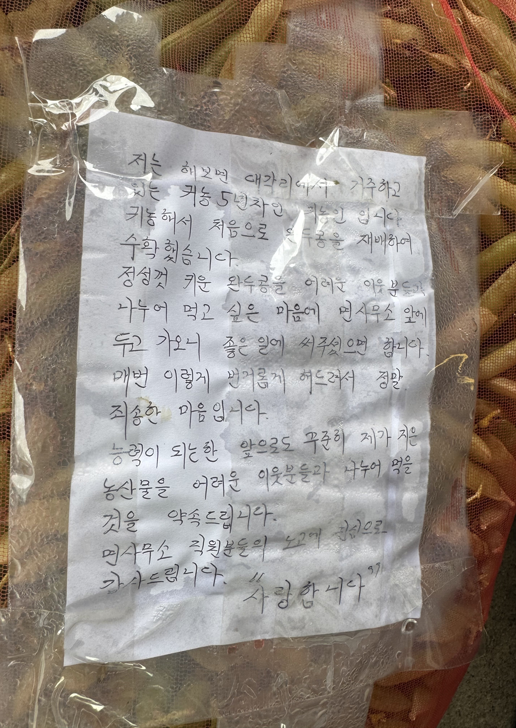 “직접 키운 완두콩 어려운 이웃과 나눠요”…함평군 해보면, 익명 기부 감동 전해