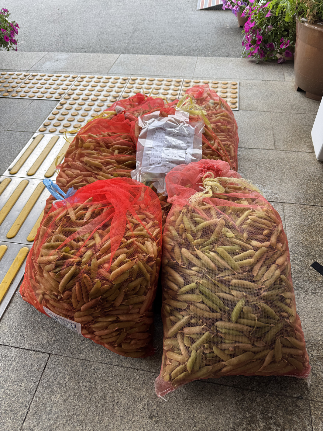 “직접 키운 완두콩 어려운 이웃과 나눠요”…함평군 해보면, 익명 기부 감동 전해