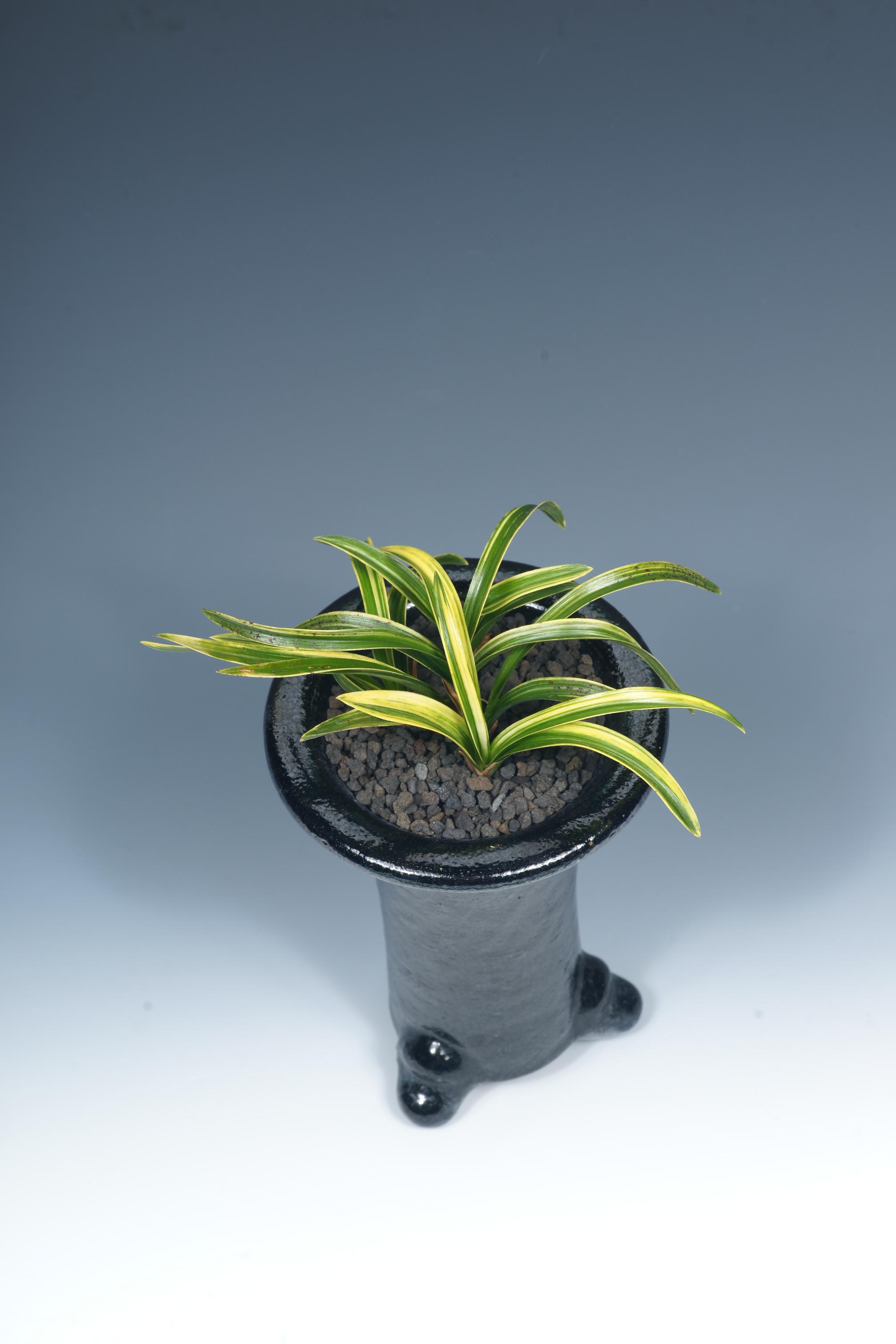 특별상-산반-박영택