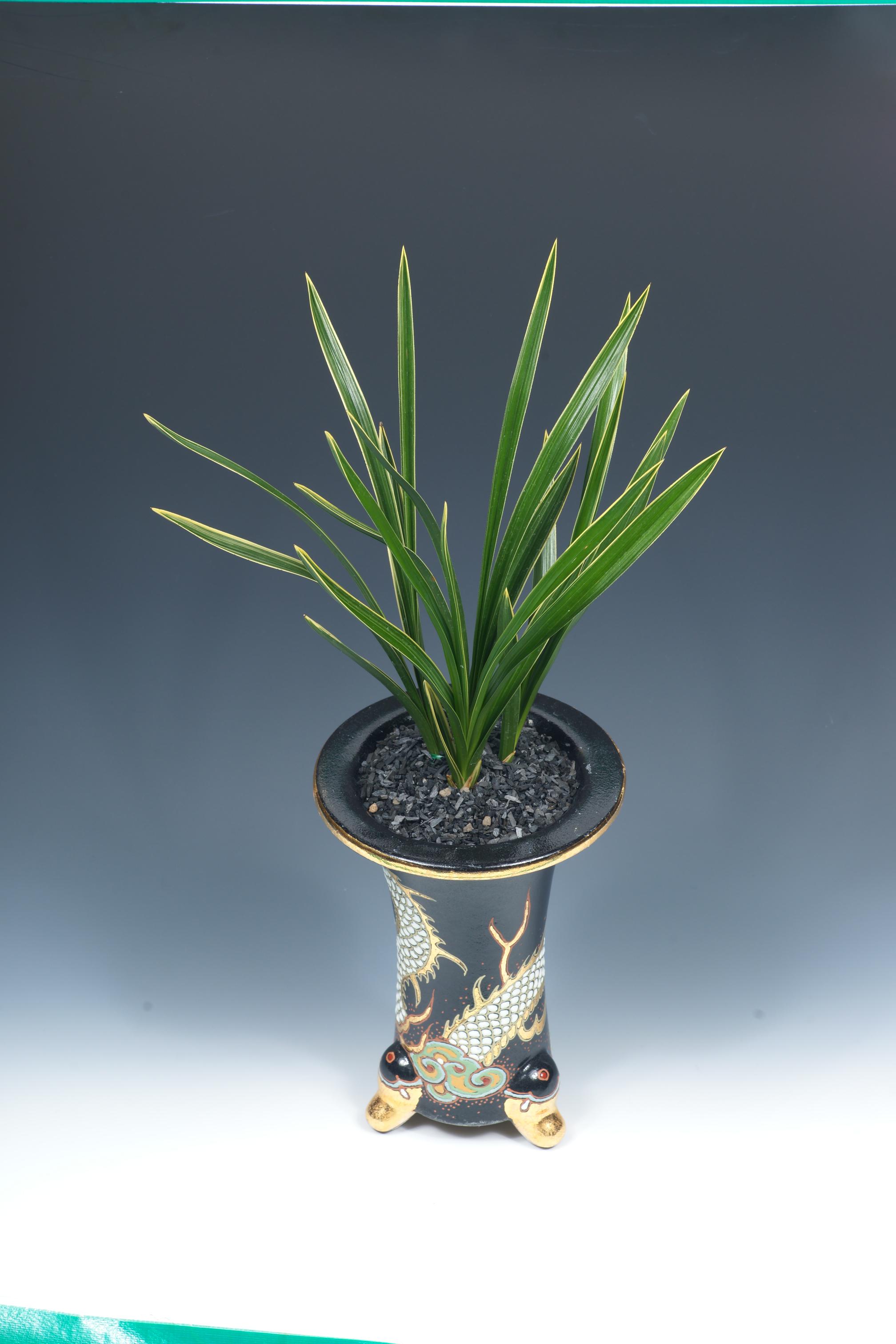 특별우수상-복륜 남산관-박래관