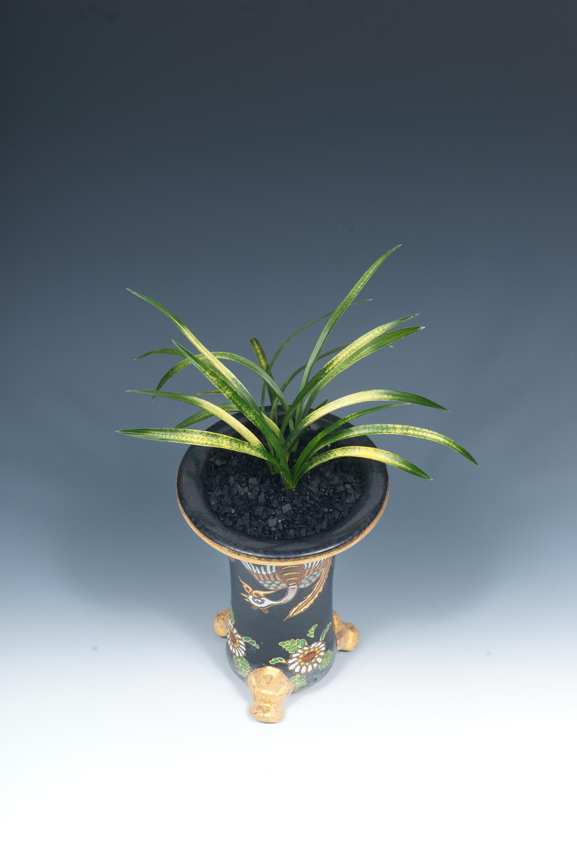 엽예품창시자상-사피 미리벌-안세근