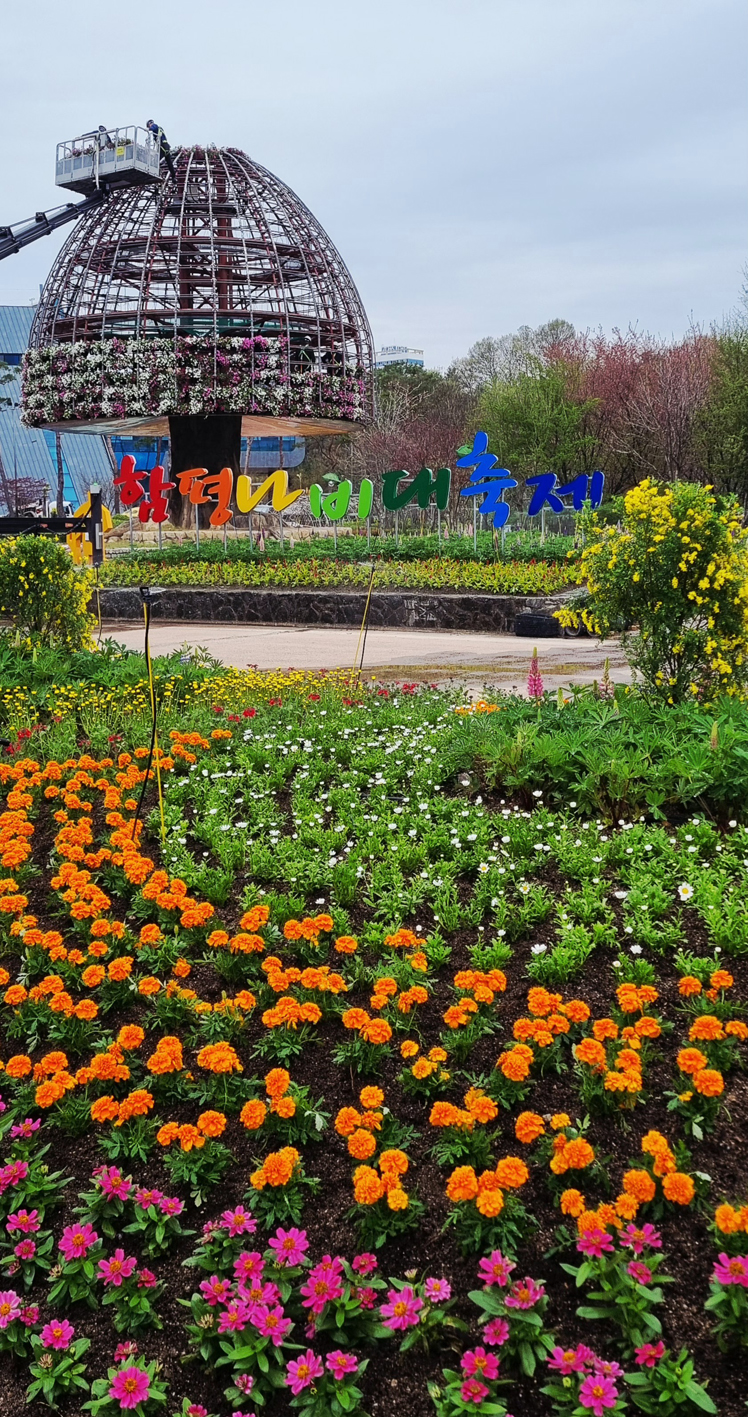 함평군, 나비대축제 개막 앞두고 ‘대형 꽃탑’ 설치
