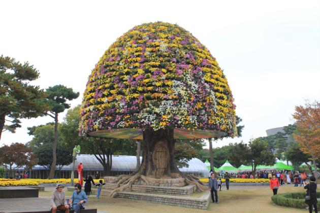 2019 대한민국 국향대전 - 꿈나무, 희망나무
