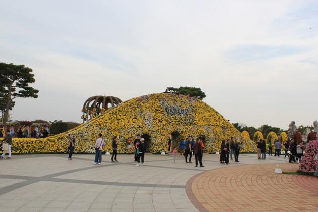 2019 대한민국 국향대전 - 국향대교