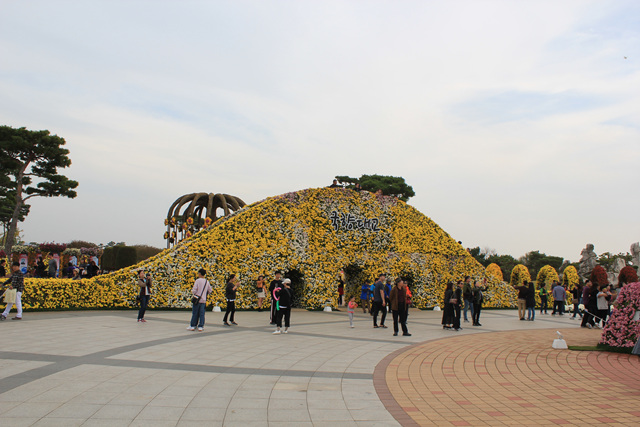 2019 대한민국 국향대전 - 국향대교