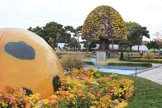 2019 대한민국 국향대전 - 꿈나무, 희망나무