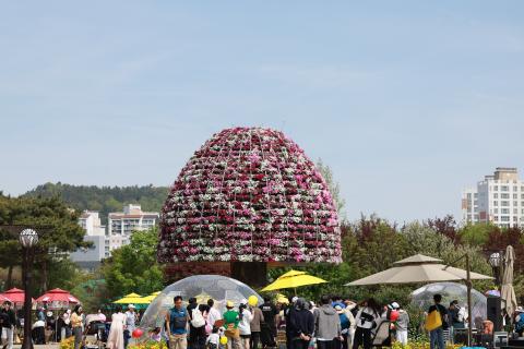 제27회 함평나비대축제
