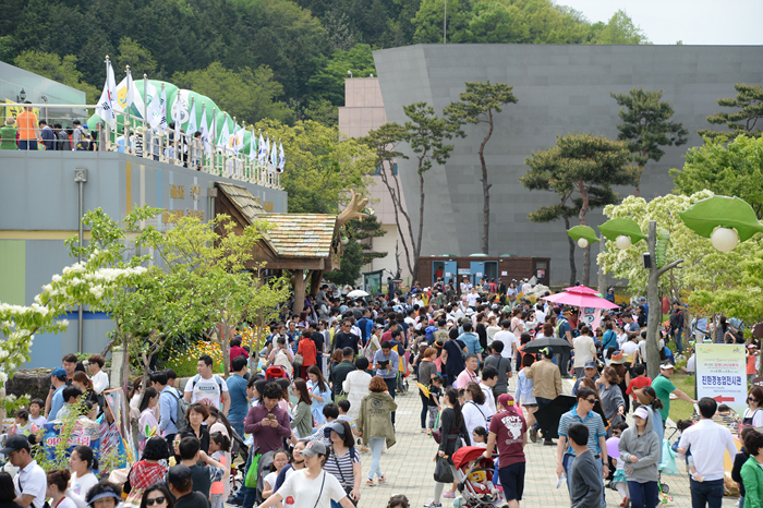 함평나비축제17