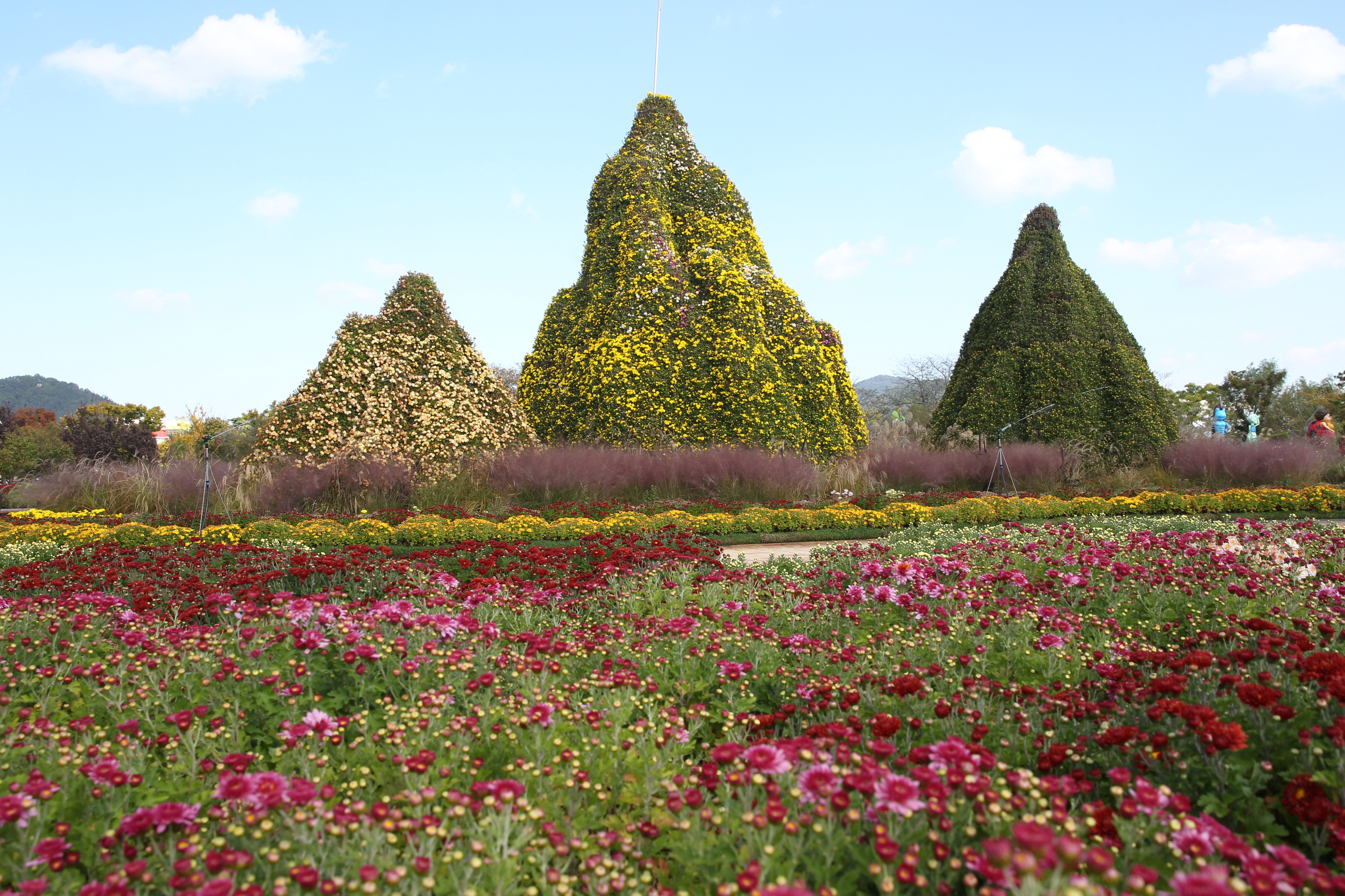 대한민국국향대전11