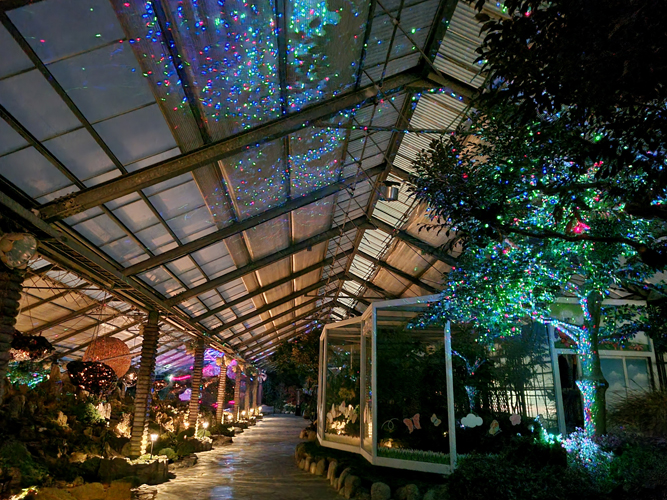 함평엑스포공원 자연생태관, ‘빛의 우주정원’ 새 단장