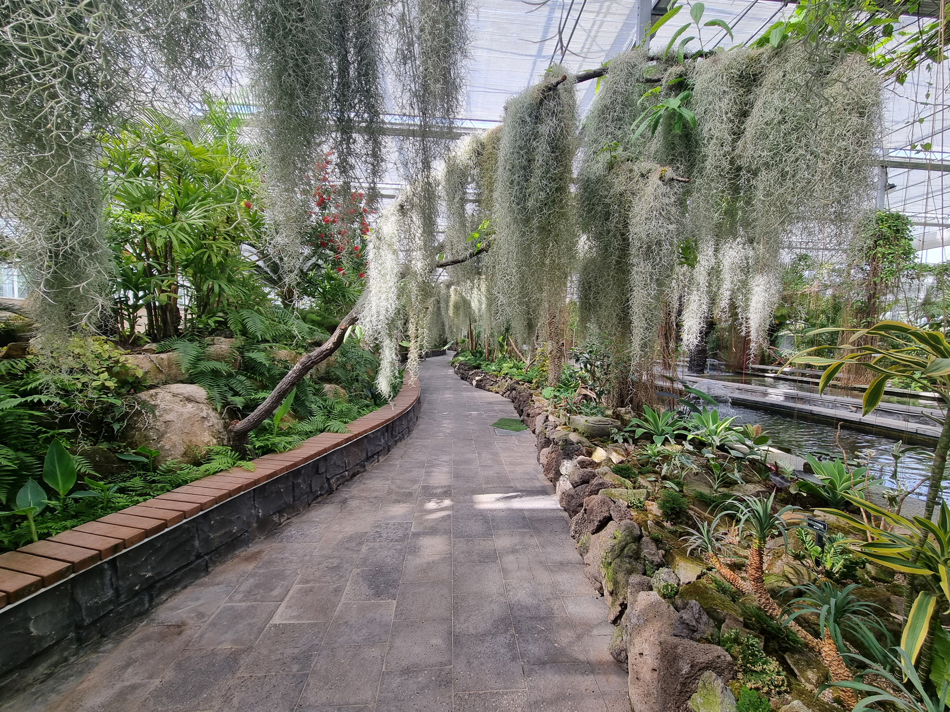 “시선 집중”…제28회 함평나비대축제 수생식물관 정글경관, 신비로운 연출로 관람객 발길 이어져