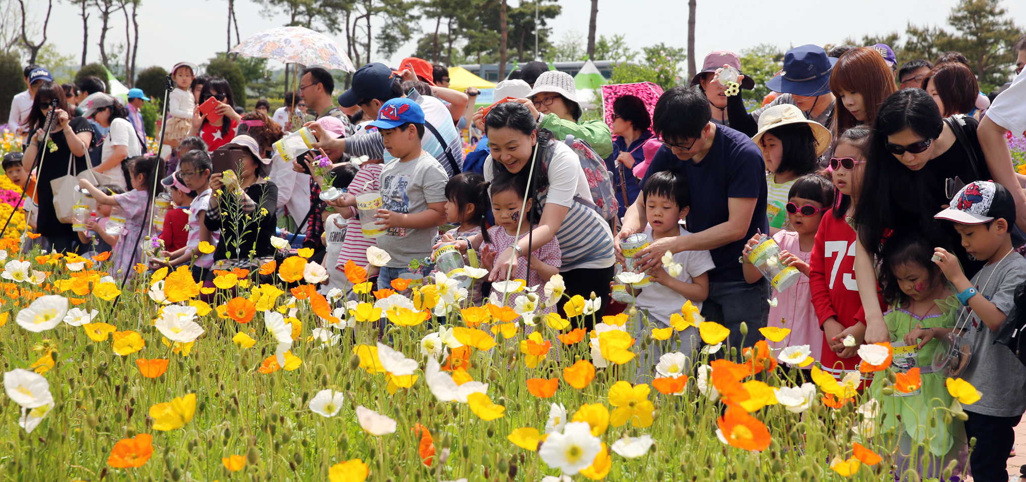 함평나비축제28