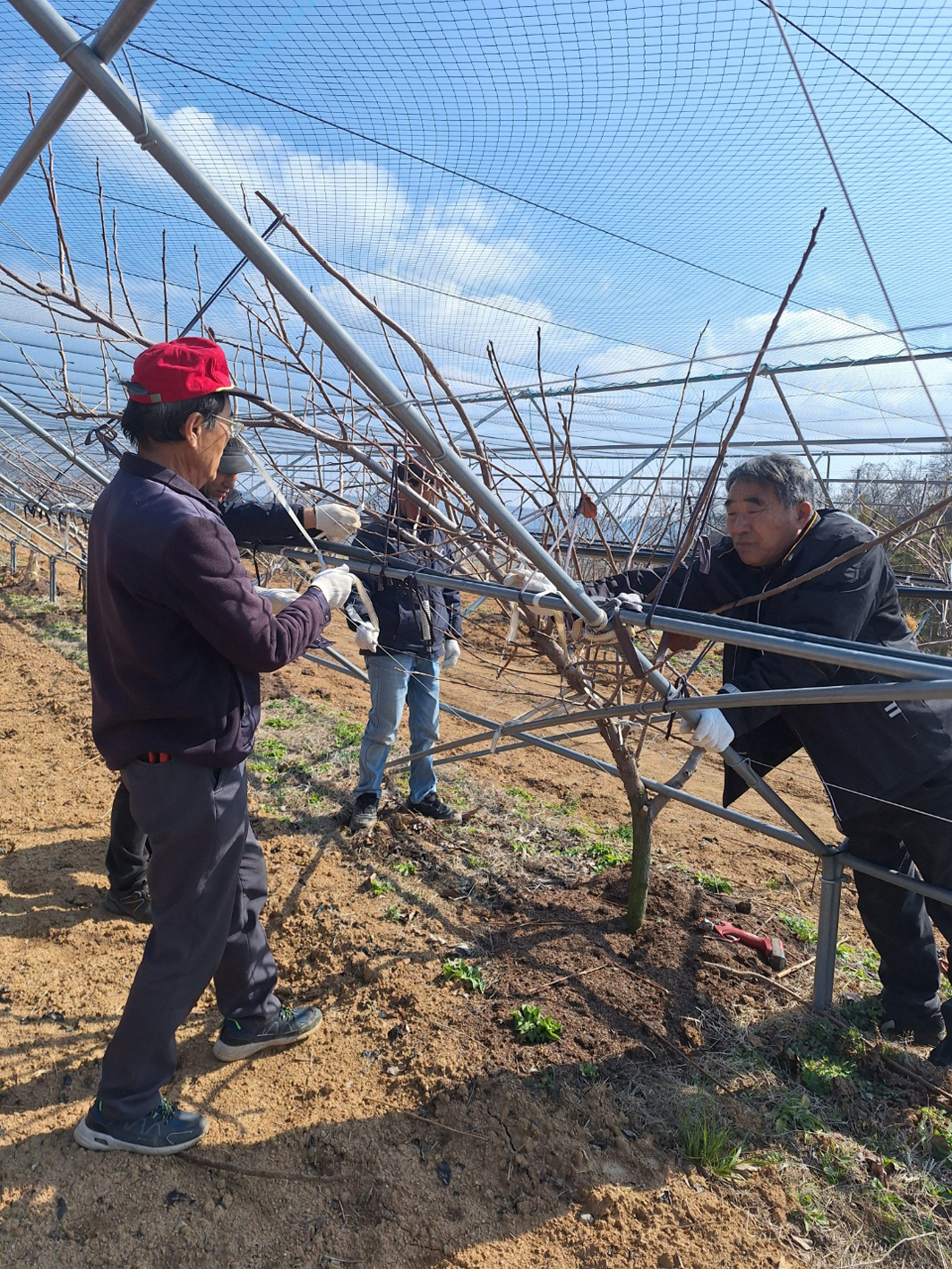 함평군, 세대 공감 농업인상담소 가동…맞춤형 영농지원 본격화