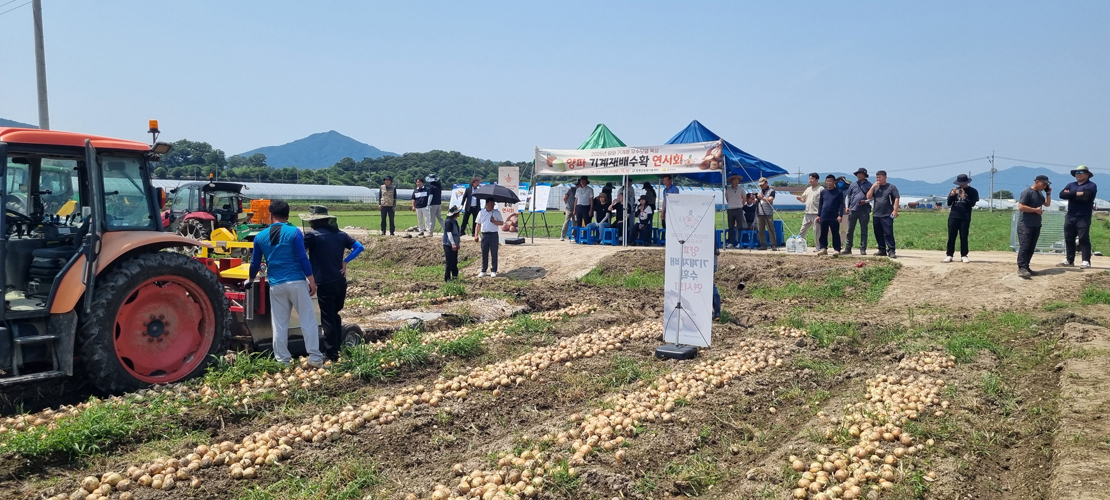 함평군, 양파 기계 재배 수확 시연회 성료 “인력‧비용 절감 기대”