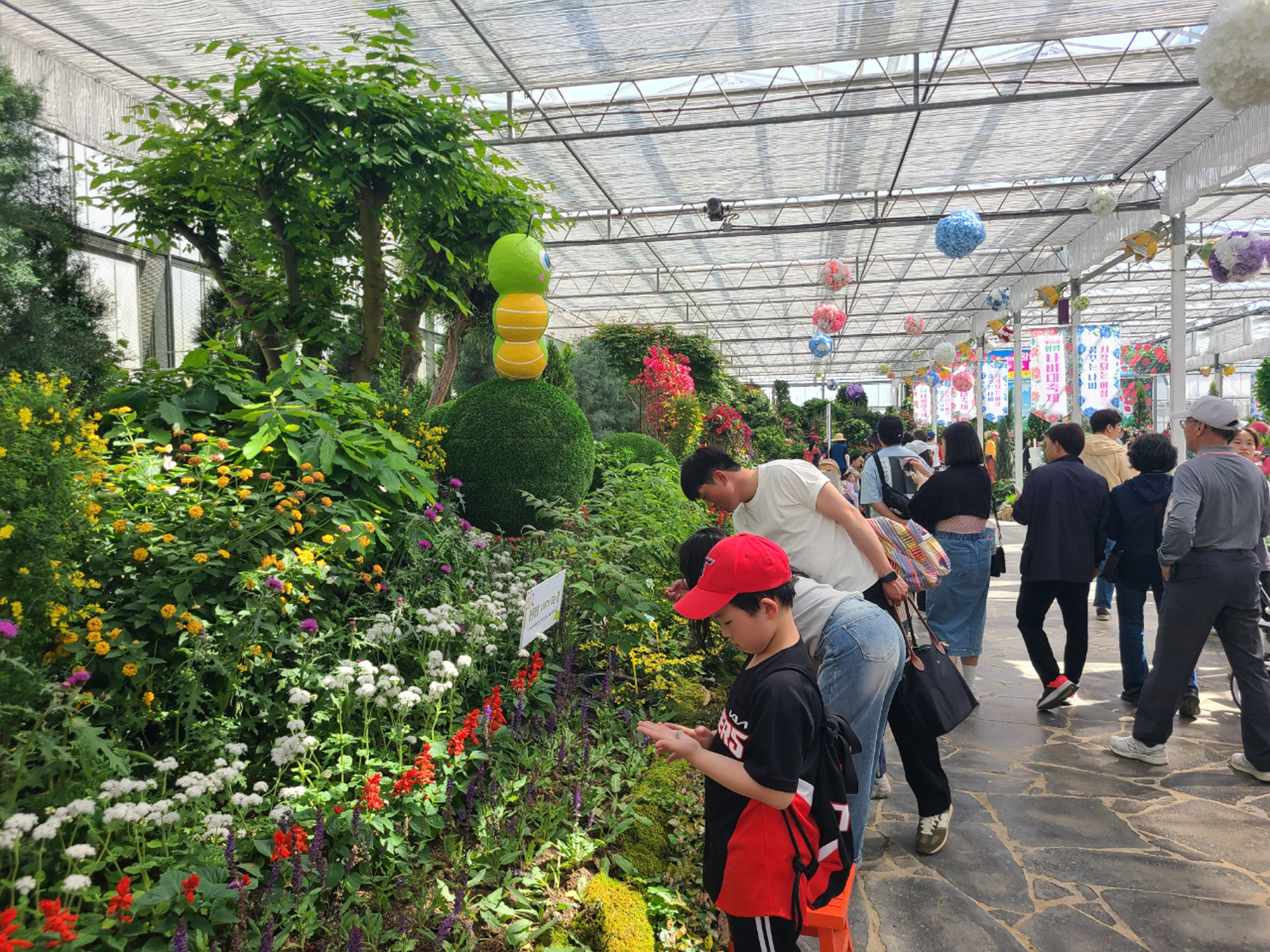 “올해 나비대축제 주인공”…‘긴꼬리제비나비’ 만나러 함평으로 오세요