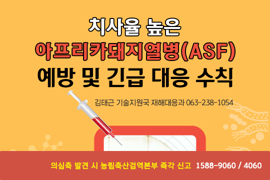 치사율 높은 아프리카돼지열병(ASF) 예방 및 긴급대응수칙  / 김태근 기술지원국 재해대응과 063-238-1054 / 의심축 발견 시 농림축산검역본부 즉각 신고 1588-9060 , 4060