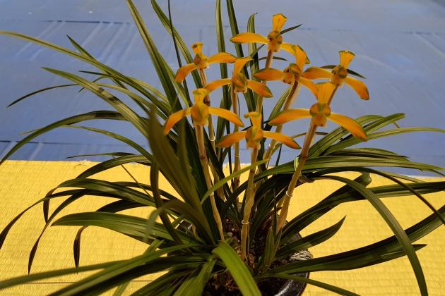 동상중투복색 지존임종후