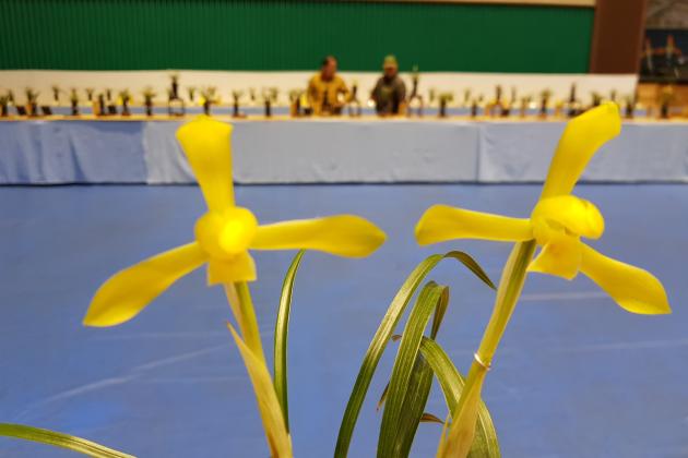 동상황화소심 제황소윤봉중