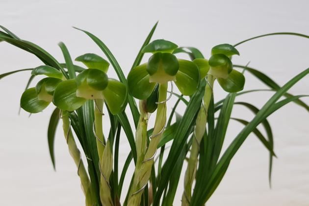 동상송옥최영님