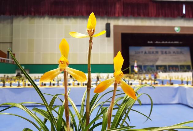 동상주금화 여울안세근