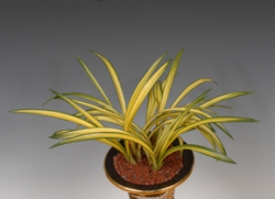 환경부장관상-중투호(금강산)-이동환