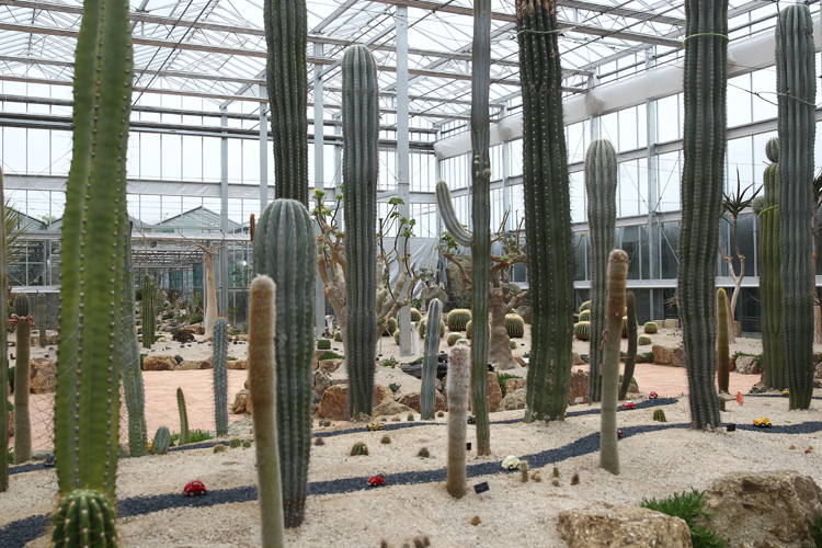 함평나비축제23