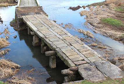 함평 고막천 석교